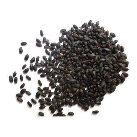 Tulsi Beej (तुलसी बीज)